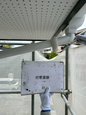 付帯(樋)塗装