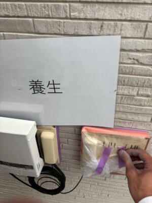 養生